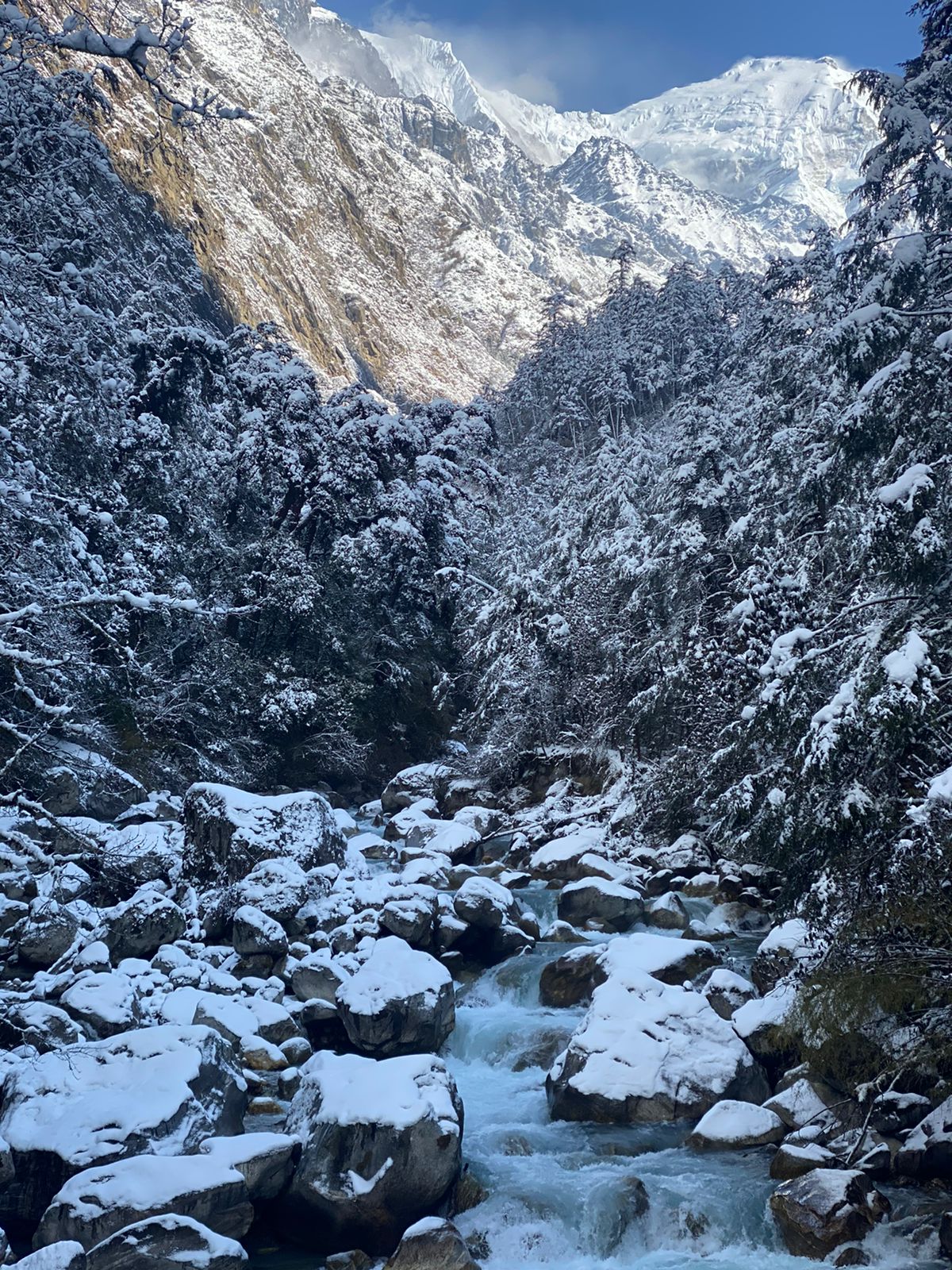 Kyangin Gumba Trek | A Cultural and Scenic Journey in the Langtang Valley
