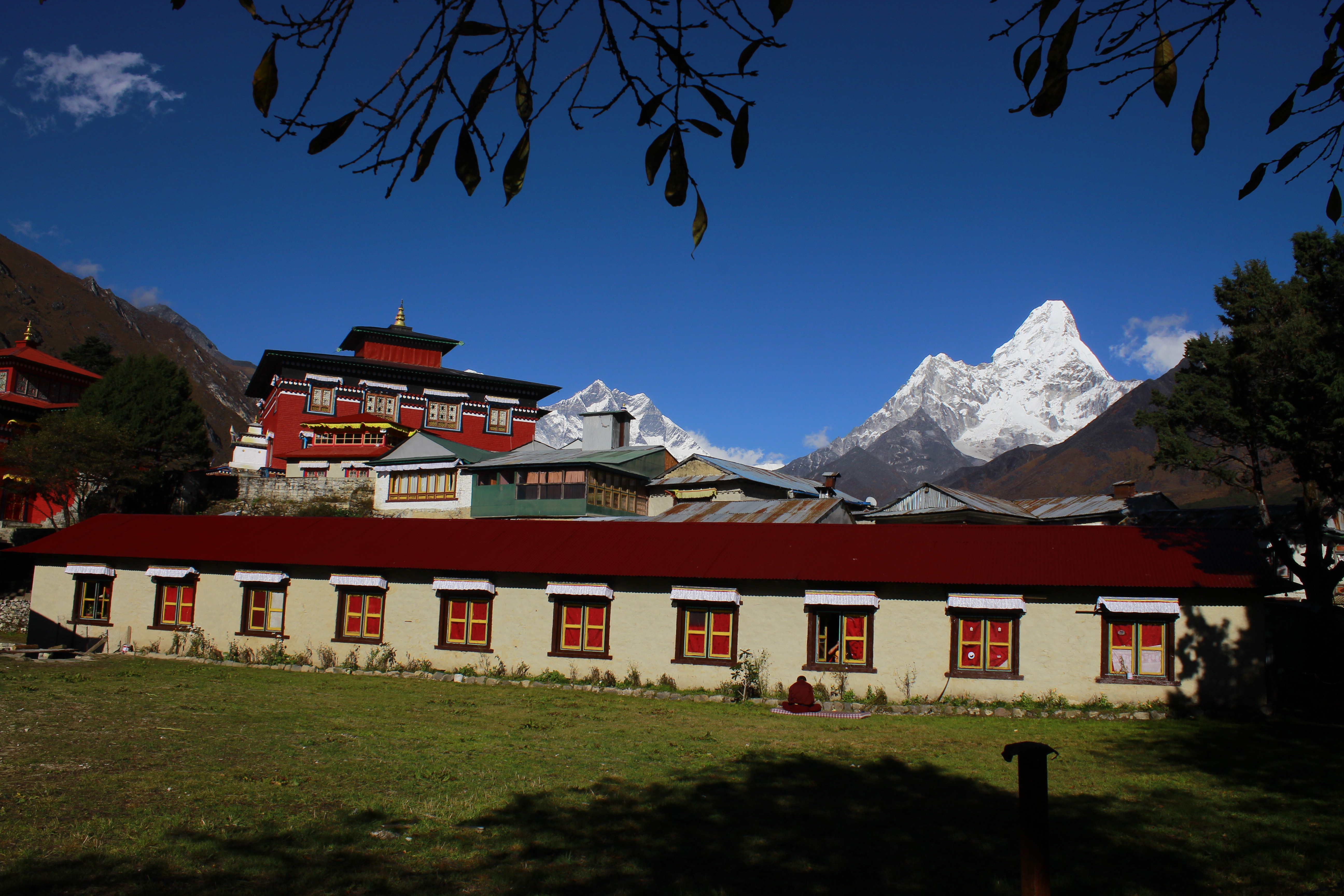 Kyangin Gumba Trek | A Cultural and Scenic Journey in the Langtang Valley